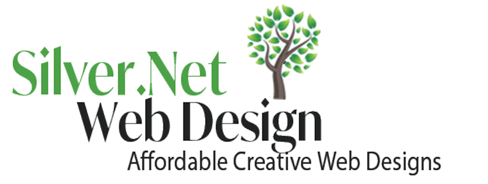 Silver Networks Web Design